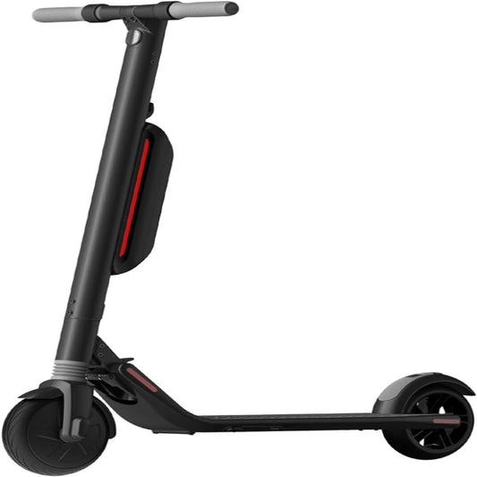 Electric Scooter (Segway ES4 or similar)